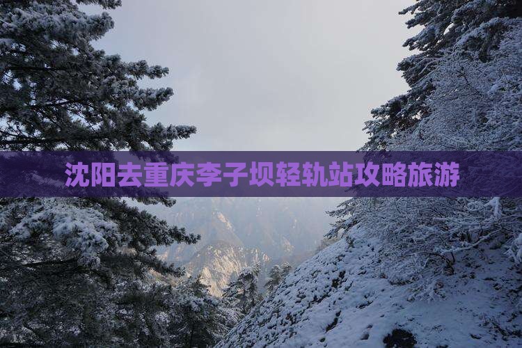 沈阳去重庆李子坝轻轨站个人游