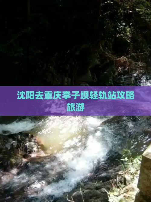 沈阳去重庆李子坝轻轨站个人游