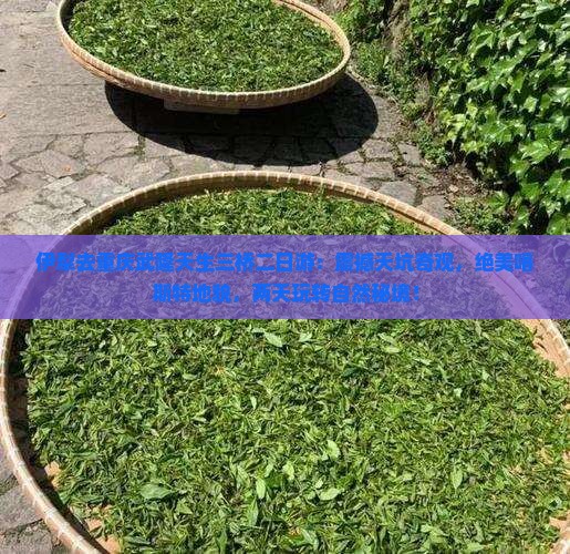 伊犁去重庆武隆天生三桥二日游