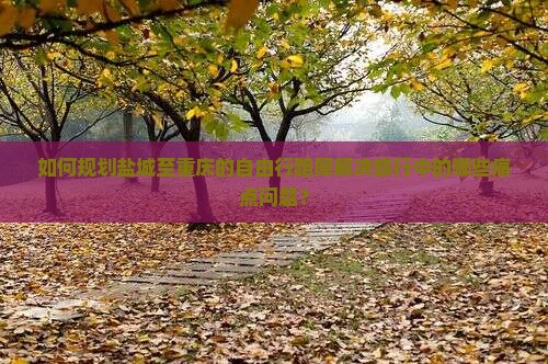 如何规划盐城至重庆的自由行路犀解决旅行中的哪些痛点问题？