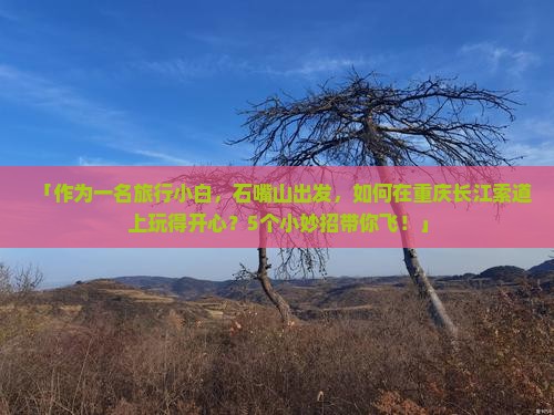 「作为一名旅行小白，石嘴山出发，如何在重庆长江索道上玩得开心？5个小妙招带你飞！」