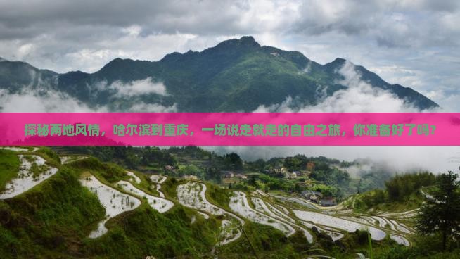 探秘两地风情，哈尔滨到重庆，一场说走就走的自由之旅，你准备好了吗？