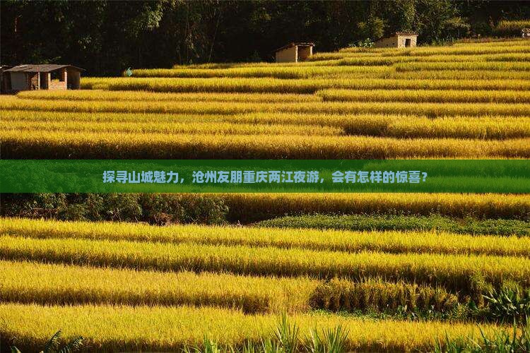 探寻山城魅力，沧州友朋重庆两江夜游，会有怎样的惊喜？