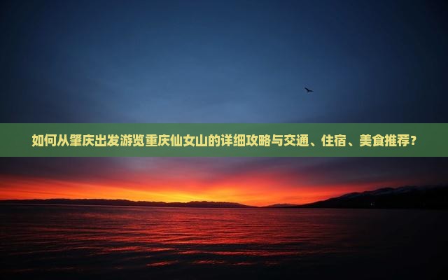 如何从肇庆出发游览重庆仙女山的详细攻略与交通、住宿、美食推荐？