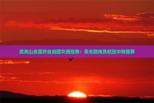 武夷山去重庆自由团