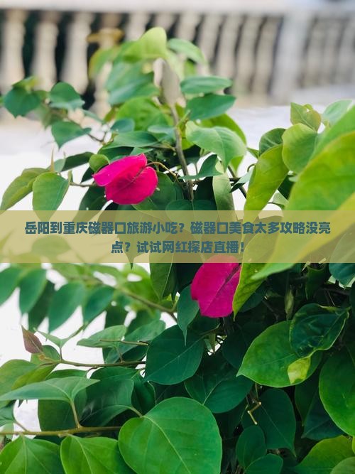 岳阳到重庆磁器口旅游小吃