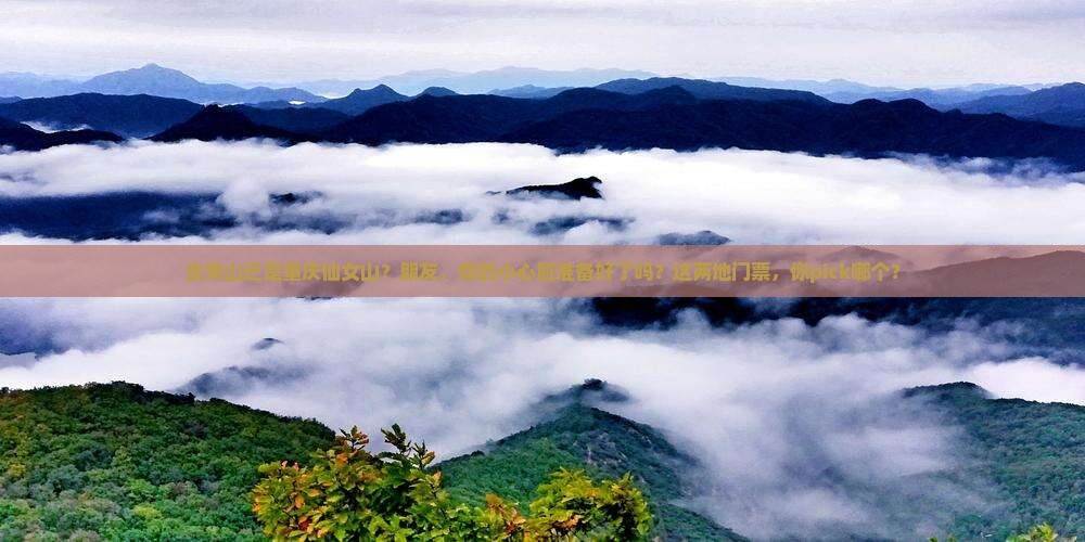 黄山去重庆仙女山门票