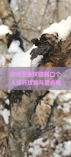 徐州到重庆磁器口个人游