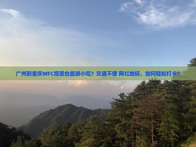 广州到重庆wfc观景台旅游小吃