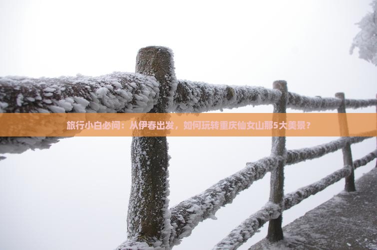 伊春去重庆仙女山景点