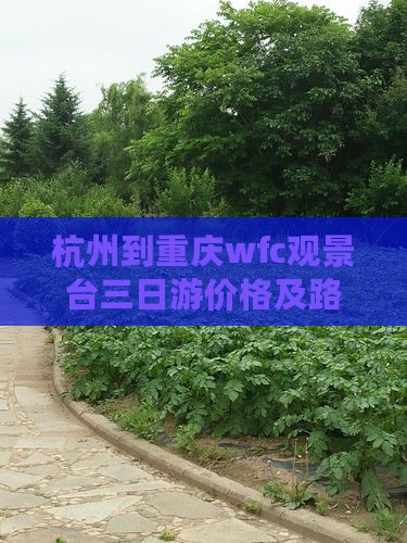 杭州到重庆wfc观景台三日游