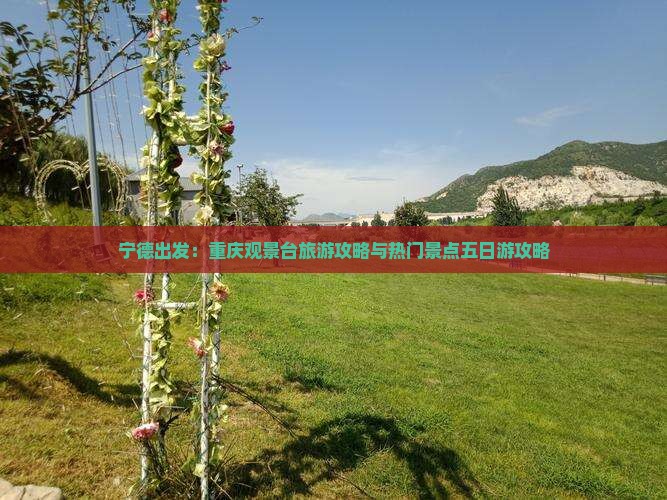 宁德去重庆wfc观景台五日游