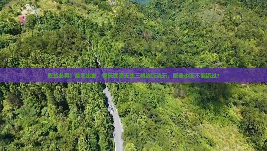 合肥去重庆武隆天生三桥旅游小吃