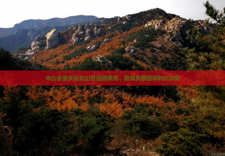 中山去重庆仙女山自由团