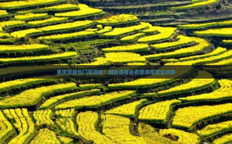 烟台去重庆wfc观景台门票