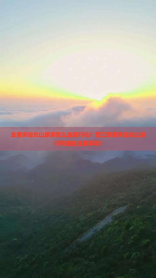 营口去重庆仙女山旅行社