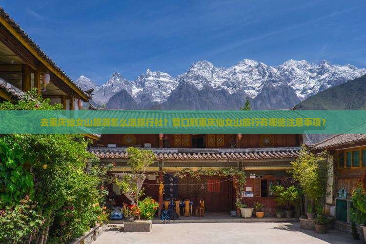 营口去重庆仙女山旅行社