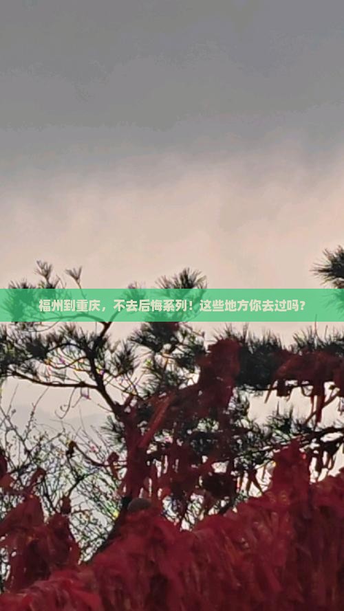 福州到重庆必去地