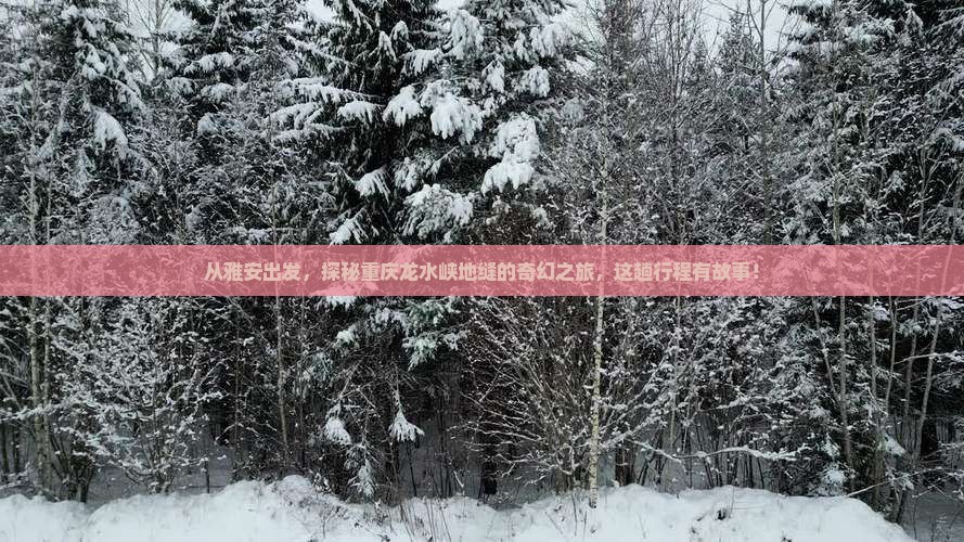 雅安到重庆龙水峡地缝二日游