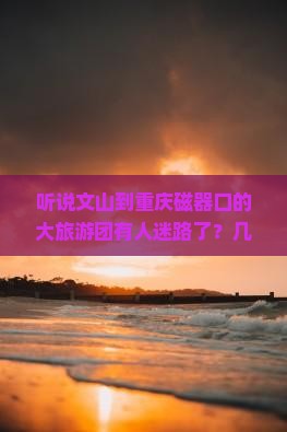 文山到重庆磁器口大型旅游团