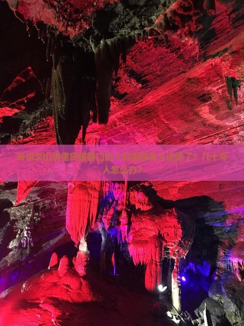 文山到重庆磁器口大型旅游团