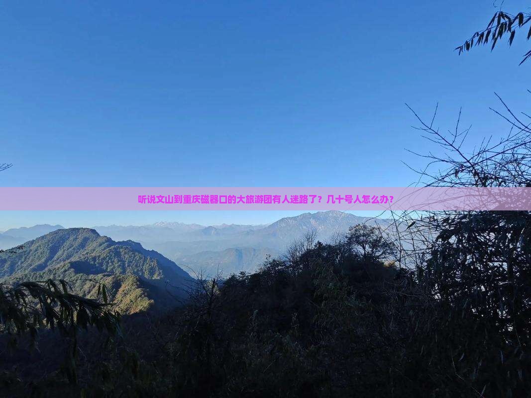文山到重庆磁器口大型旅游团