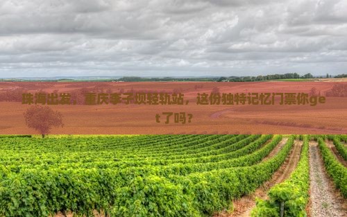 珠海去重庆李子坝轻轨站门票