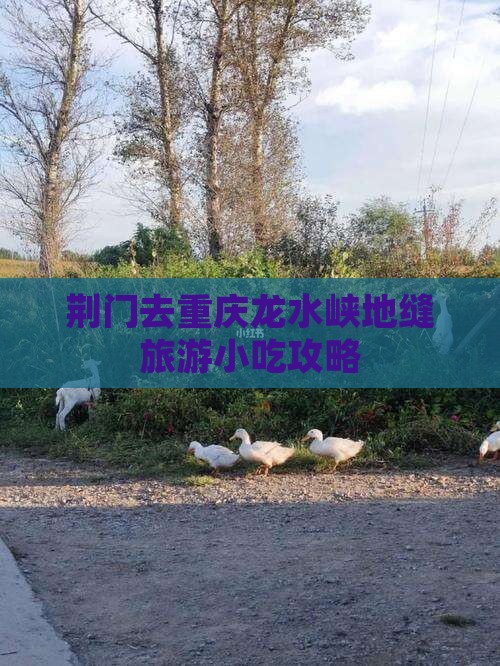 荆门去重庆龙水峡地缝旅游小吃