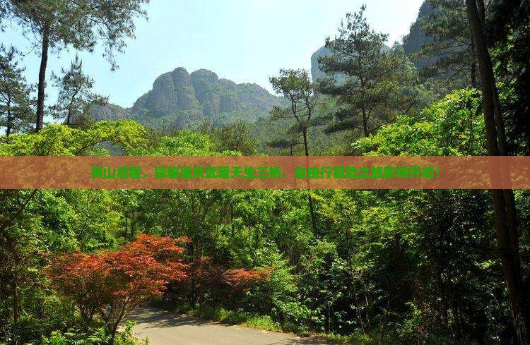 黄山到重庆武隆天生三桥自由行