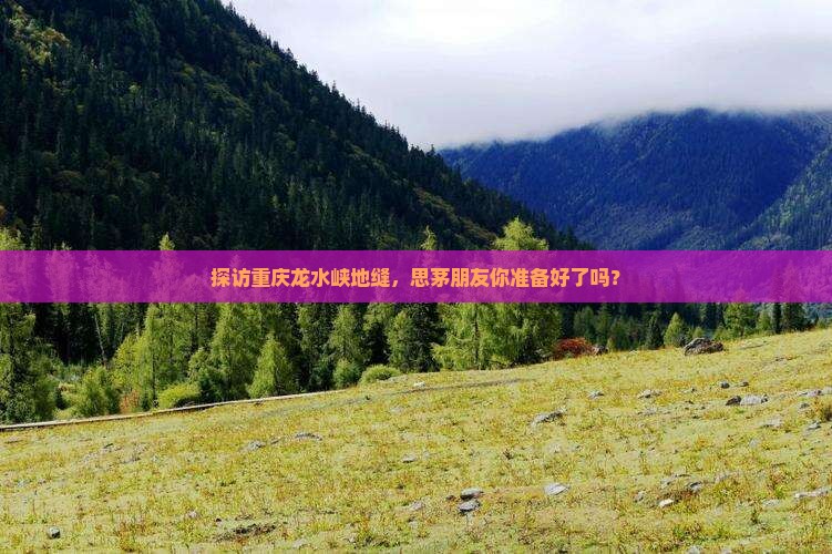 思茅去重庆龙水峡地缝旅游