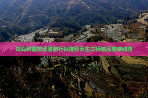 乌海到重庆武隆旅行社