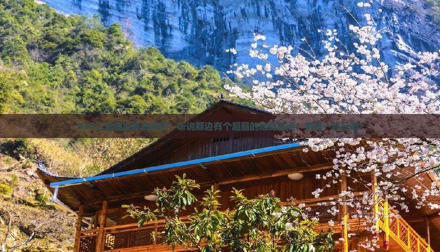 无锡到重庆龙水峡地缝大型旅游团