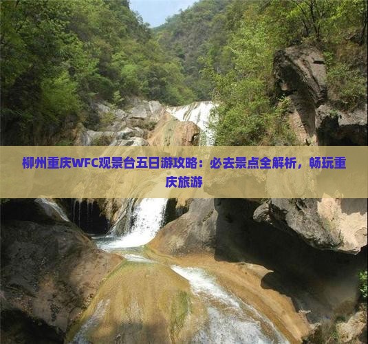 柳州去重庆wfc观景台五日游
