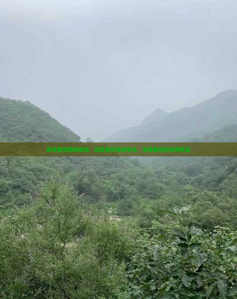 来宾到重庆团体旅游