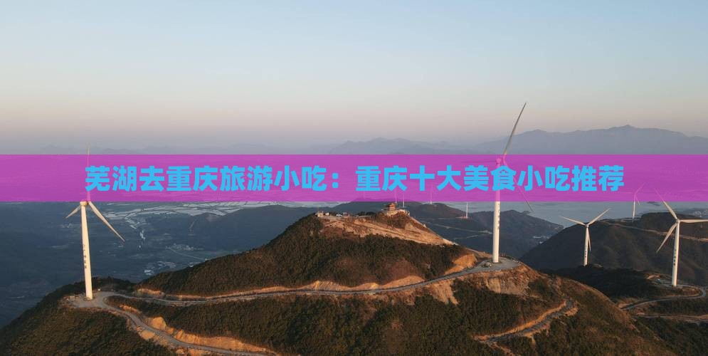 芜湖去重庆旅游小吃