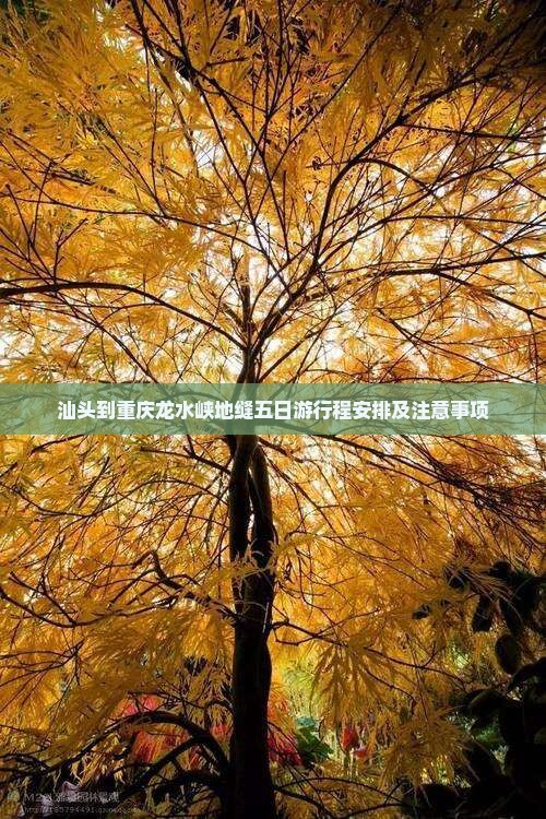 汕头到重庆龙水峡地缝五日游
