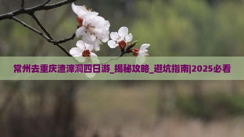 常州去重庆渣滓洞四日游