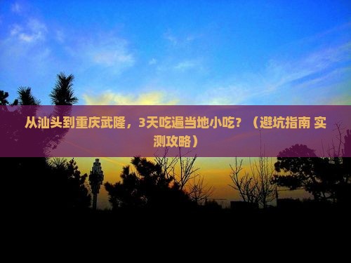 汕头到重庆武隆旅游小吃