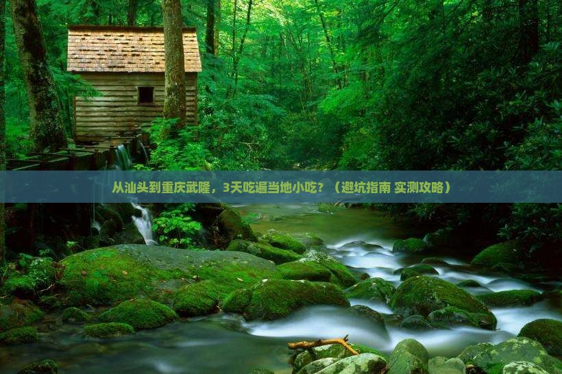 汕头到重庆武隆旅游小吃