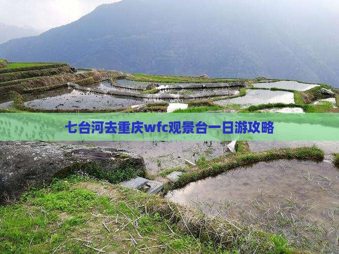 七台河去重庆wfc观景台一日