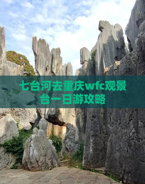 七台河去重庆wfc观景台一日