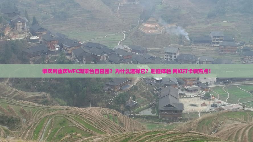 肇庆到重庆wfc观景台自由团