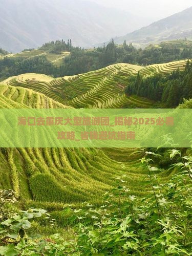 海口去重庆大型旅游团