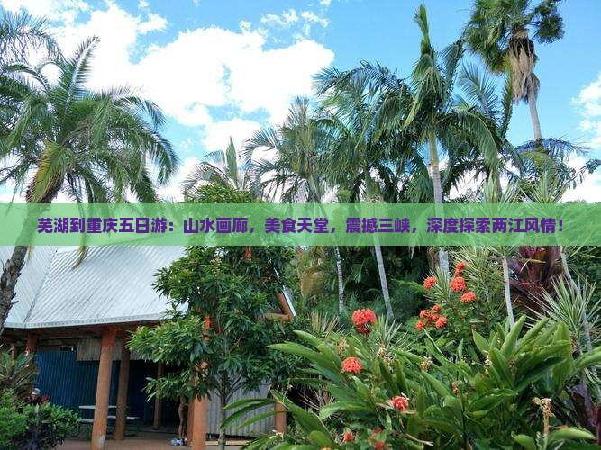 芜湖到重庆五日游