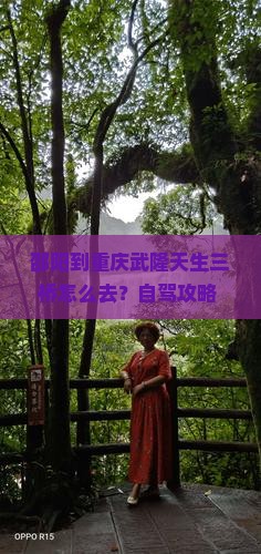 邵阳到重庆武隆天生三桥攻略