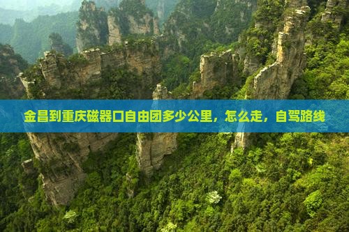 金昌到重庆磁器口自由团