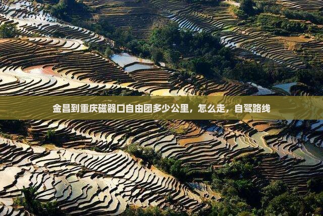 金昌到重庆磁器口自由团