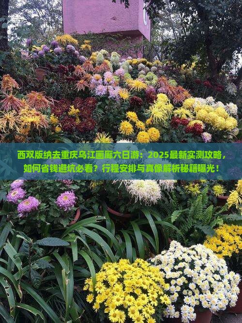 西双版纳去重庆乌江画廊六日游