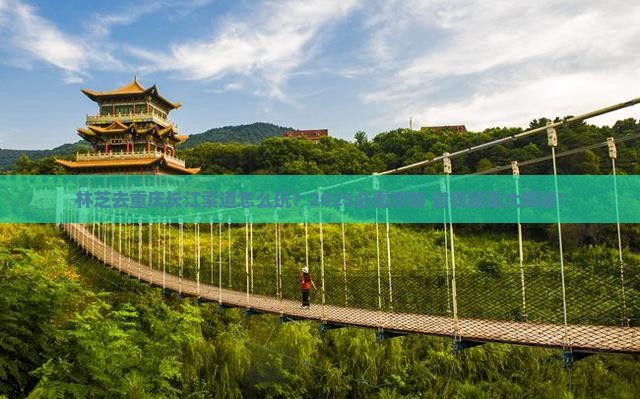 林芝去重庆长江索道旅行社