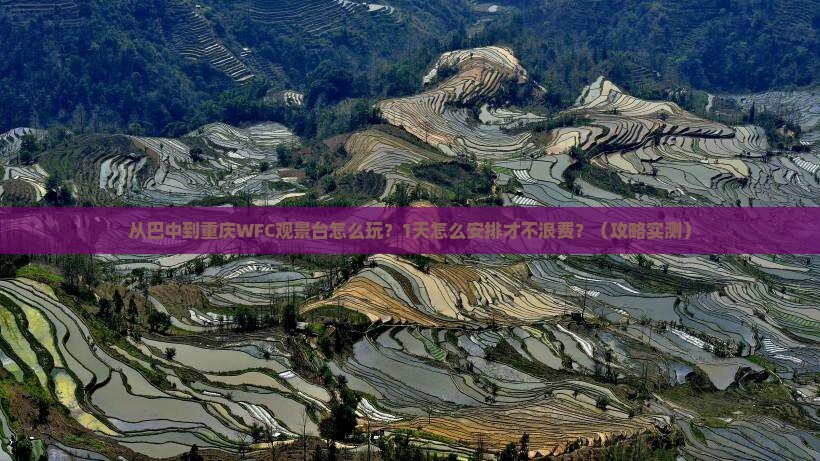 巴中去重庆wfc观景台一日
